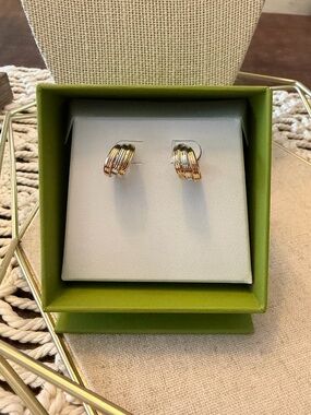 Frankie & Zoe Tri Tone 14k Triple Row Hoop Earrings - New In Box